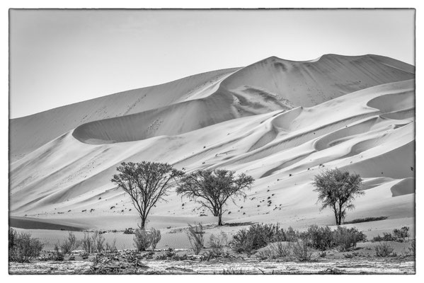 Big Mama - Sossusvlei - Namibia