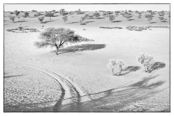 Kalahari - Bagatelle Lodge - Namibia