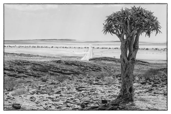 C14 - Namibia