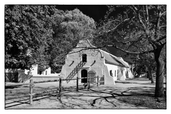Babylonstoren Vineyard - Südafrika