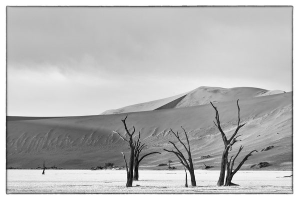 Death Vlei - Sossusvlei - Namibia