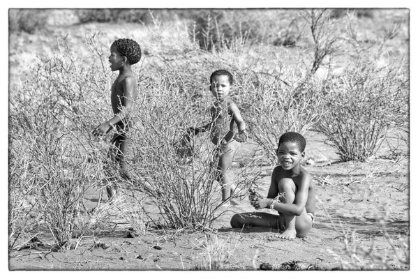 Kalahari - Bagatelle Lodge - Namibia