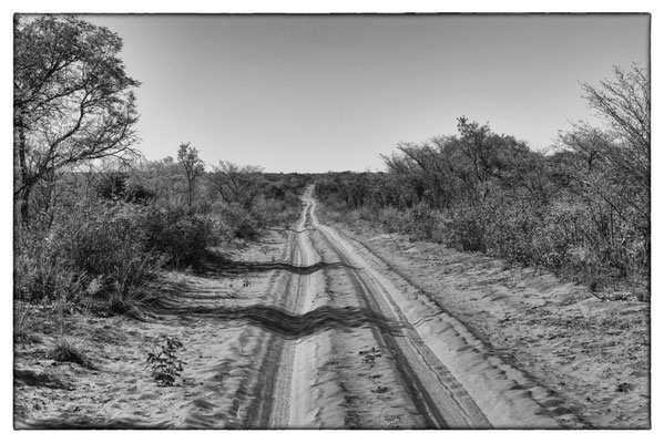Waterberg National Park - Namibia