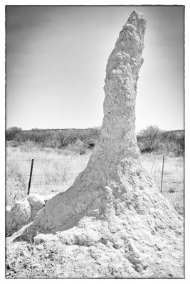 Okaukuejo - Estosha Park - Namibia 2018