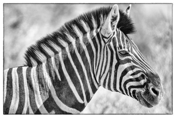 Namutoni - Etosha Park - Namibia