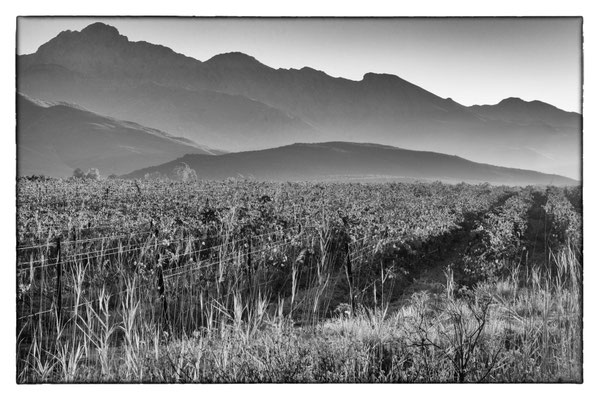 Ladismith - Südafrika