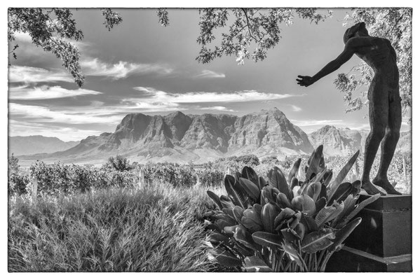 Delaire Vineyard - Südafrika