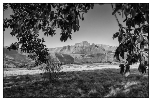 Champagner Valley - Drakensberge - Südafrika