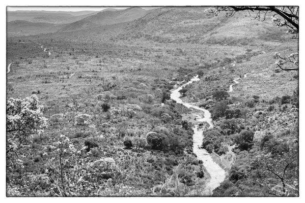 Hluhluwe-iMfolozi-Park - Südafrika