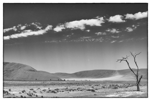 Road Sossusvlei