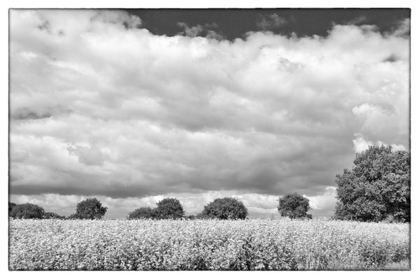 Pleneuf Val Andre - Bretagne - Frankreich 2015