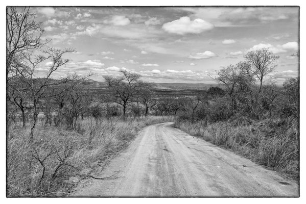 Krüger Nationalpark - Südafrika