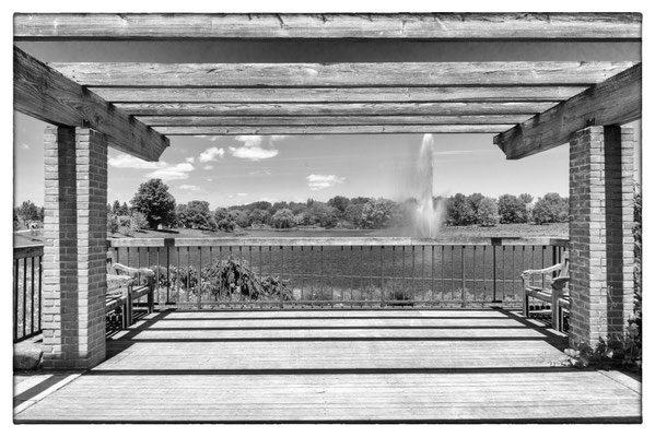 Botinical Garden -Illinois Chicago 2019