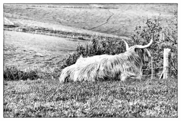 A96 / A98 - Schottland 2015