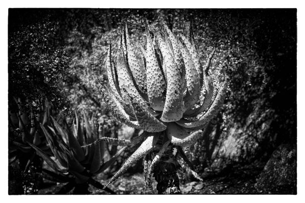 Paarl - Südafrika 