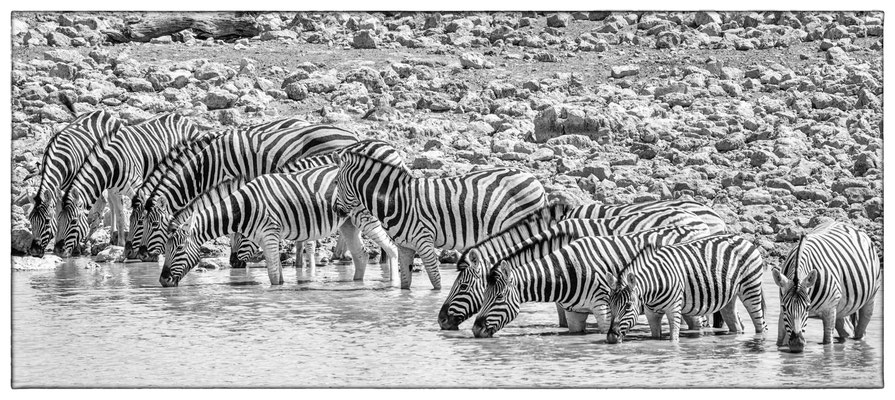 Okaukuejo - Etosha Park - Namibia