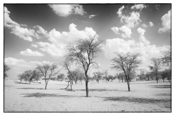 Kalahari - Bagatelle Lodge - Namibia