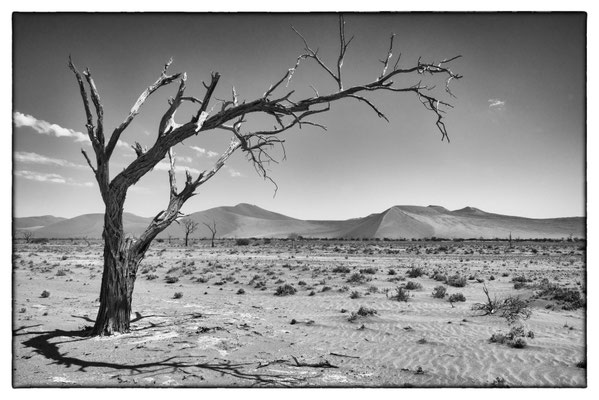 Road Sossusvlei