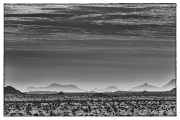 Madisa Camp - Damara Land - Namibia