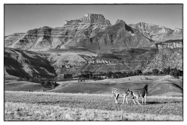 Champagner Valley - Drakensberge - Südafrika
