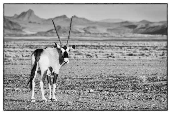 Road Sossusvlei