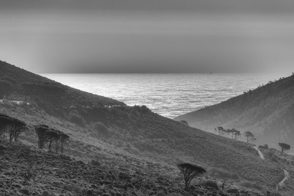 Tafelberg - Kapstadt - Südafrika