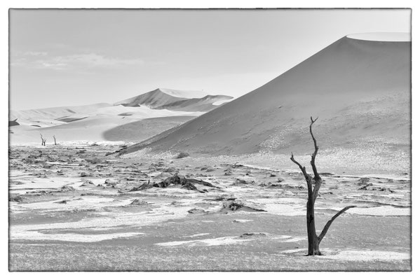 Death Vlei - Sossusvlei - Namibia