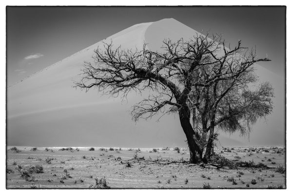 Road Sossusvlei