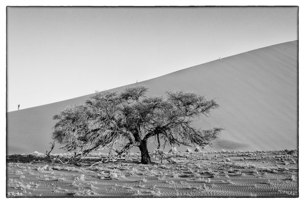 Dune 45 - Road Sossusvlei