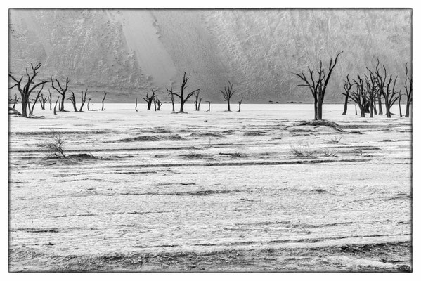Death Vlei - Sossusvlei - Namibia