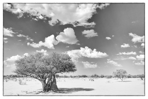 Kalahari - Bagatelle Lodge - Namibia