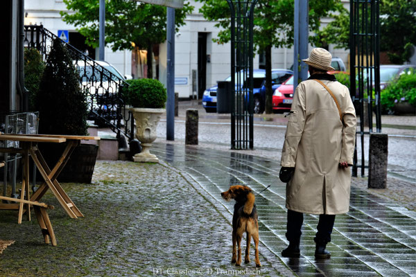 Dame mit Hut & Hund.