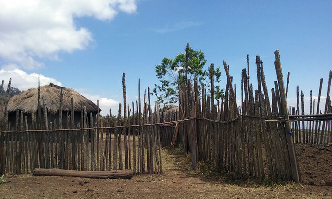 Habitat massaï : boma