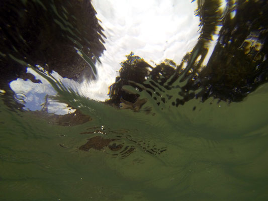 Flood, Munich, photographie, 2017