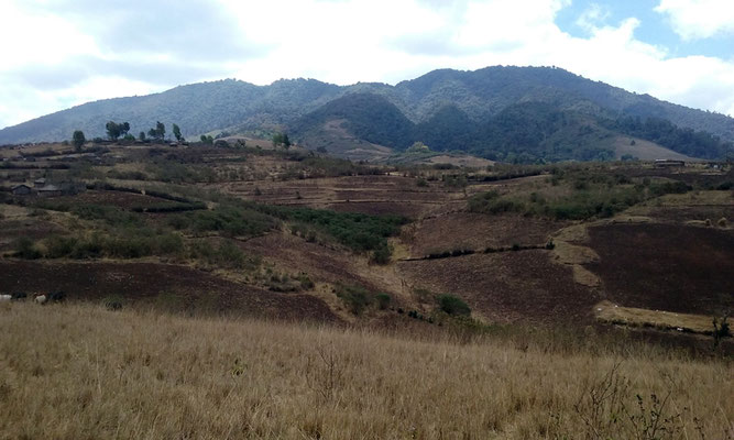 Les crêtes avec les villages et les champs massaïs