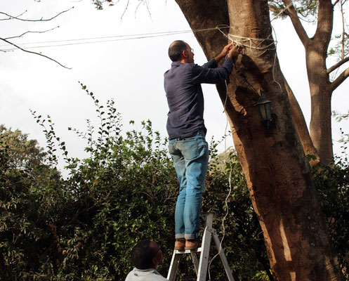 Accrochage du réseau de cordages qui soutiendra le boma