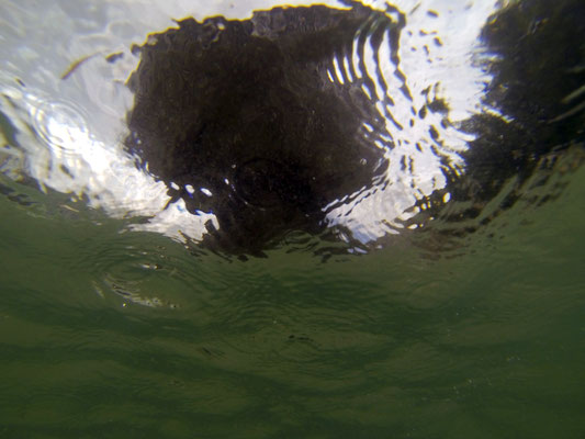 Flood, Munich, photographie, 2017