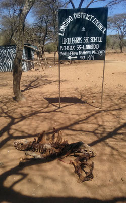 On quitte la route de Nairobi à Longido pour 55km de piste à travers le bush.