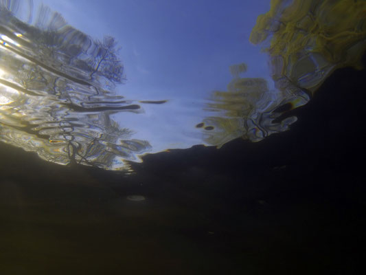 Flood, Naab river, Schwandorf
