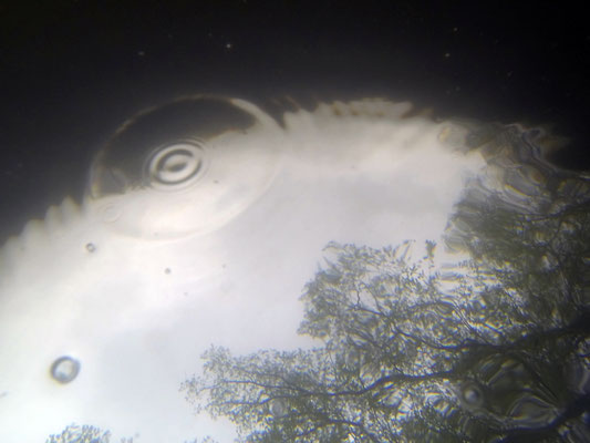 Flood, Naab river, Schwandorf