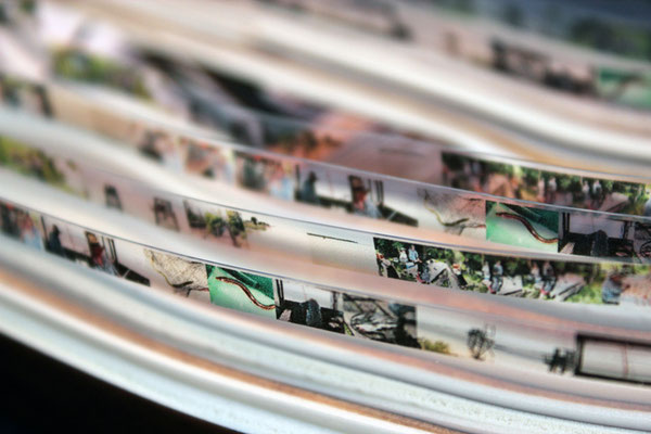 Cernes d'un dimanche au carrelet de Marie-Pierre, 2016. Détail