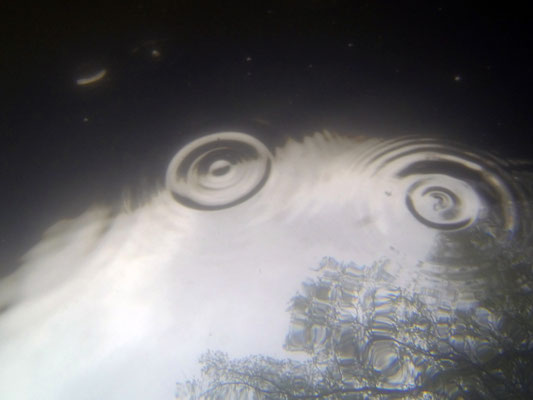 Flood, Naab river, Schwandorf