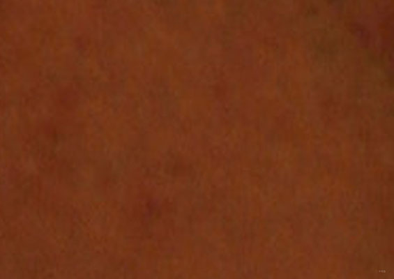 photo 11.03