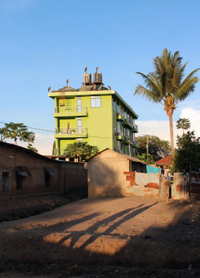 Musoma - l'hotel des marabous