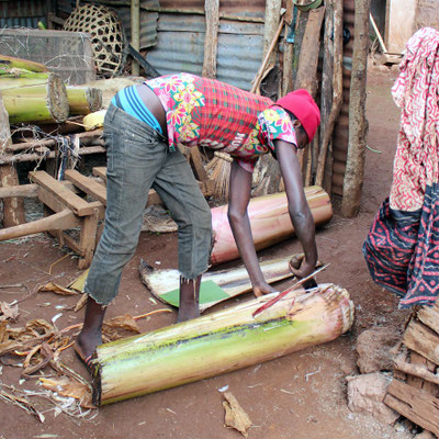 Garçon de ferme chez mama Shei