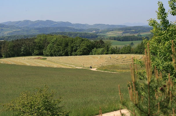 Blick vom Bötzberg nach Süden