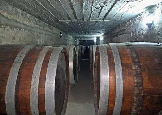 Besuch auf einem Weingut