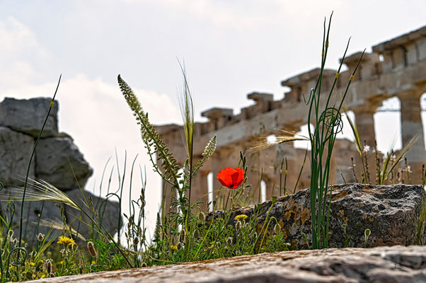 Athen Akropolis, Parthenon