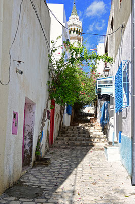 Zaghouan, Medina