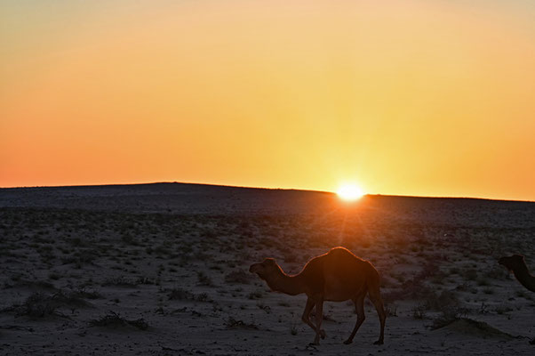 Sundown 